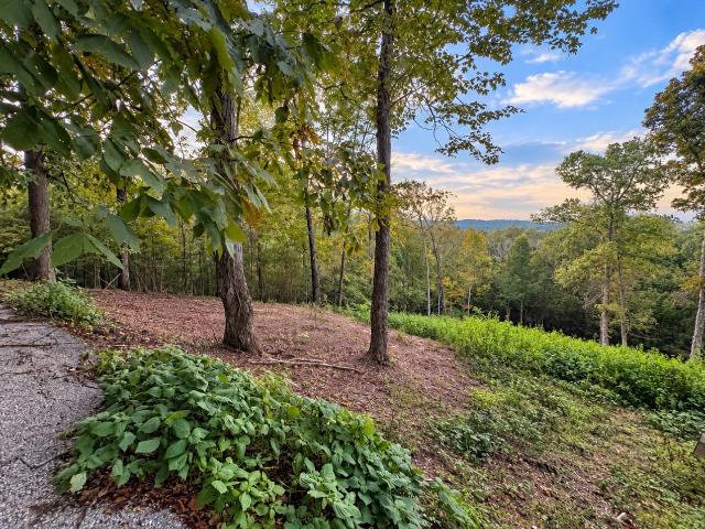 Land for sale in Tennessee