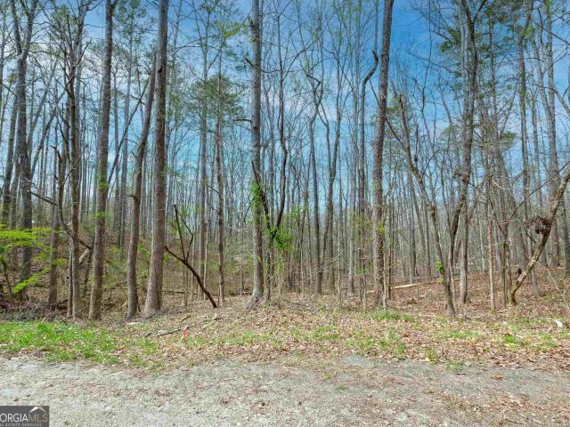 Land for sale in Gumlog, Lavonia