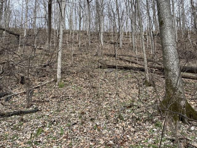 Land for sale in Tennessee