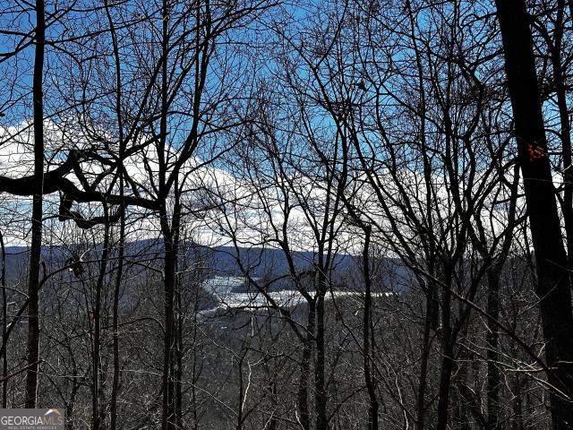 Land for sale in Clayton, Georgia