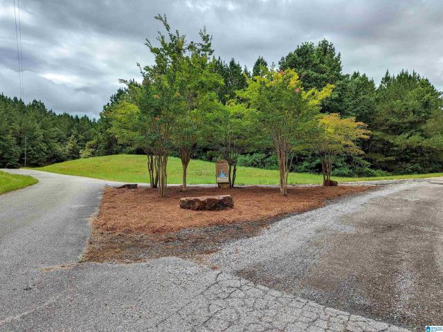 Land for sale in Coosa, Alabama