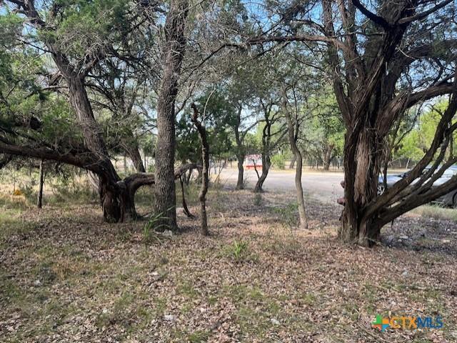 Land for sale in Pipe Creek, Texas