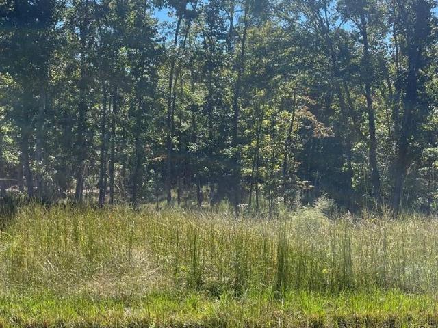 Land for sale in Tennessee