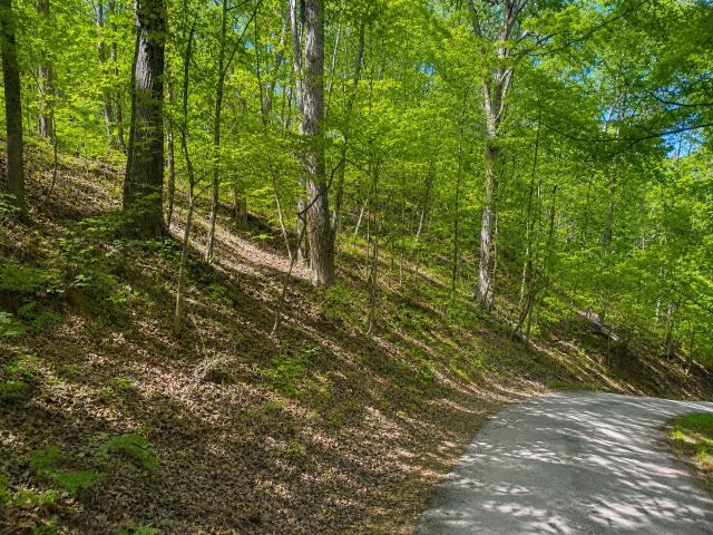 Land for sale in Tennessee