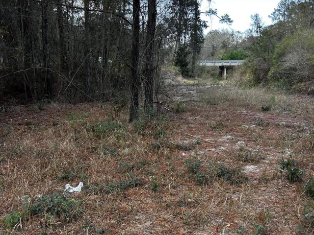 Land for sale in Carriere, Mississippi