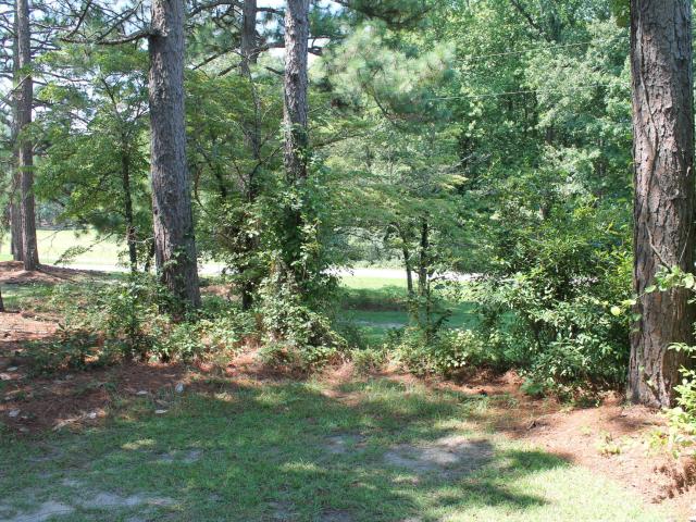 Land for sale in Bunnlevel, North Carolina