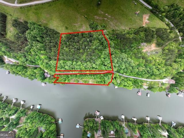 Land for sale in Arley, Alabama