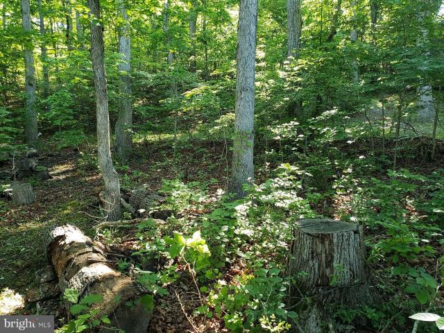 Land for sale in Virginia