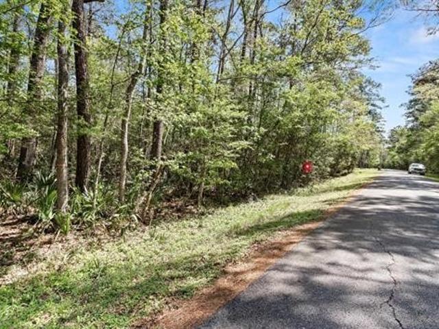 Land for sale in Sour Lake, Texas