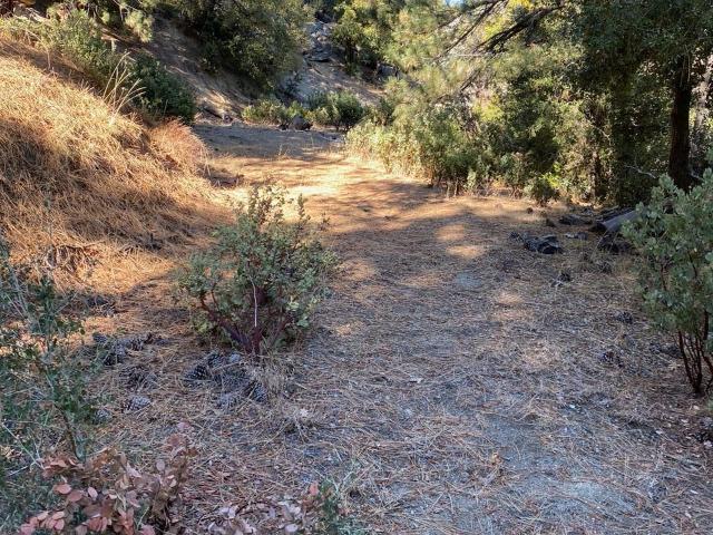Land for sale in Idyllwild