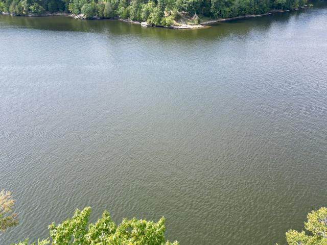 Land for sale in Lewisburg, Kentucky
