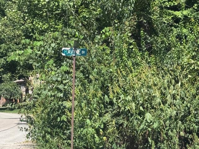 Land for sale in Middletown, Delaware County