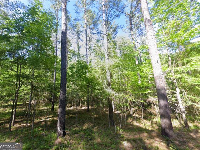 Land for sale in Worth, Georgia