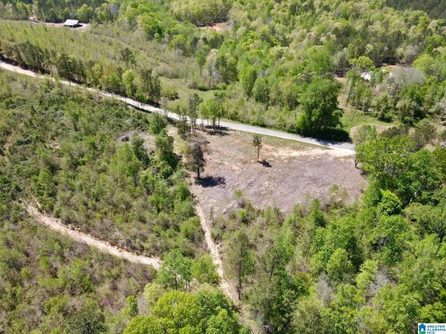 Land for sale in Ashland, Alabama