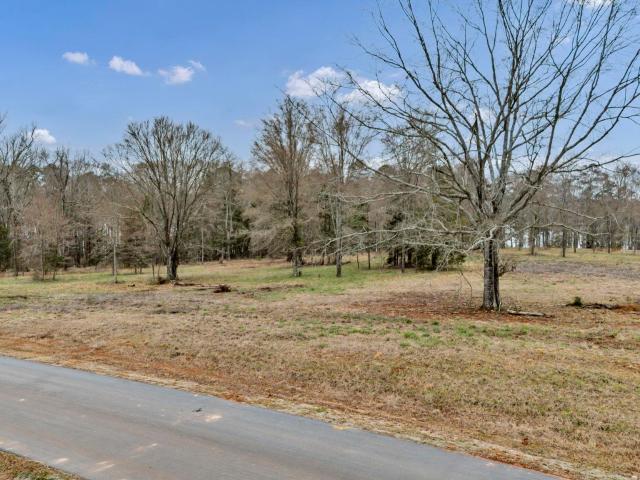 Land for sale in Prosperity, South Carolina