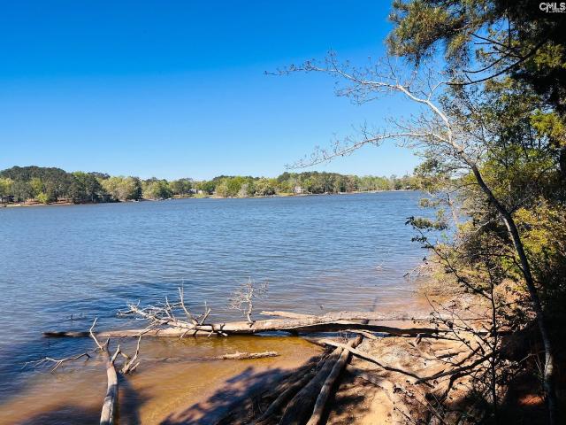 Land for sale in Prosperity, South Carolina