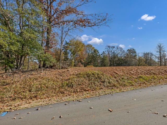 Land for sale in Prosperity, South Carolina