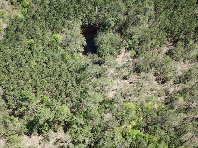 Land for sale in Kountze, Texas