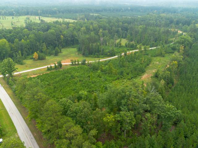 Land for sale in White Plains, Georgia