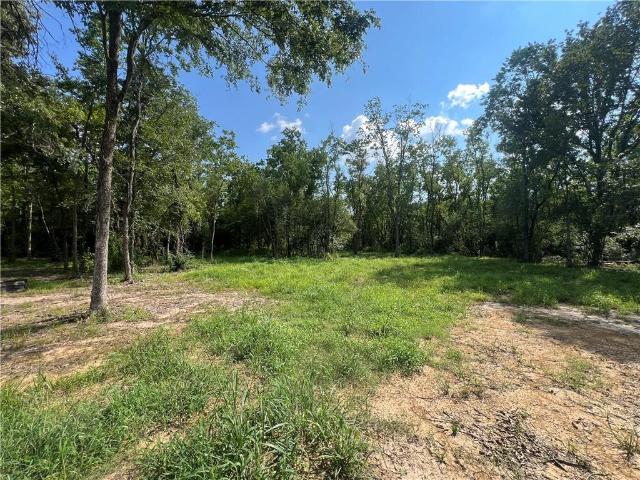 Land for sale in Mansura, Louisiana