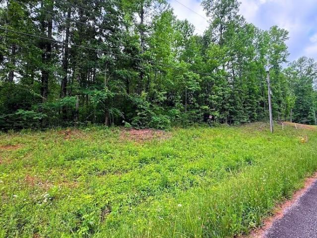 Land for sale in Haralson, Georgia
