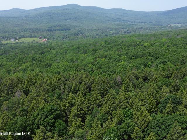 Land for sale in Ashland, New York