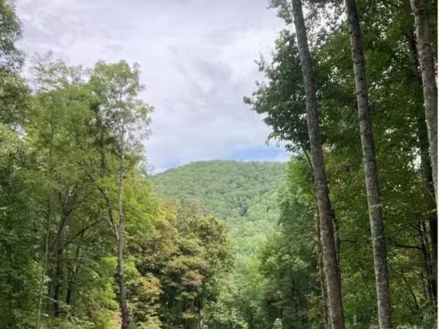 House for sale in Brevard
