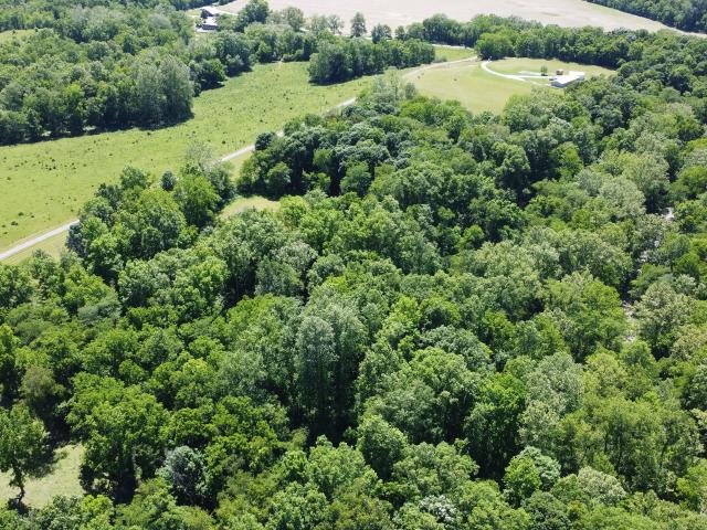 Land for sale in Laurel, Indiana