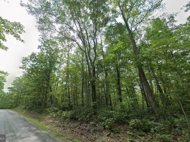 Land for sale in Virginia