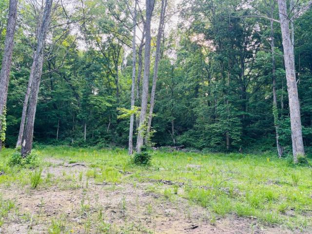 Land for sale in Laurel, Indiana