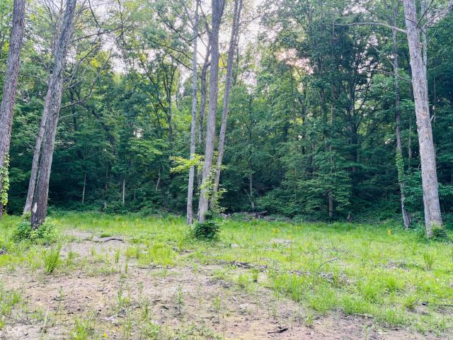Land for sale in Laurel, Indiana
