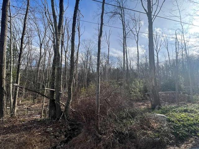Land for sale in Wurtsboro, New York