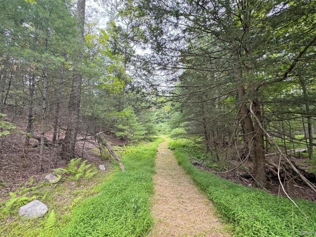 Land for sale in Bearsville, New York