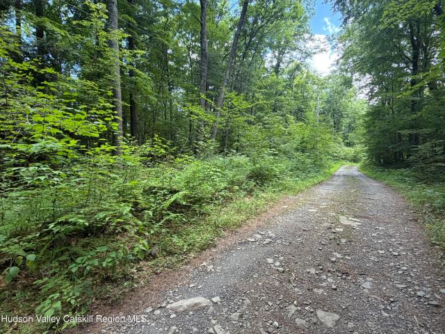 Land for sale in Acra, New York