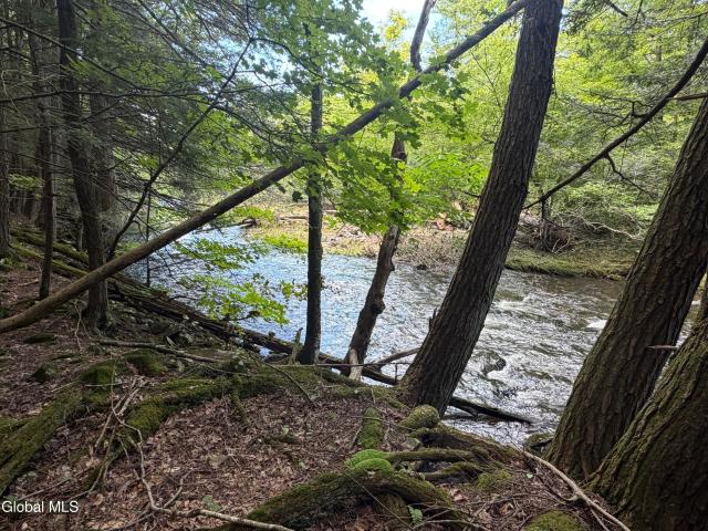 Land for sale in Acra, New York