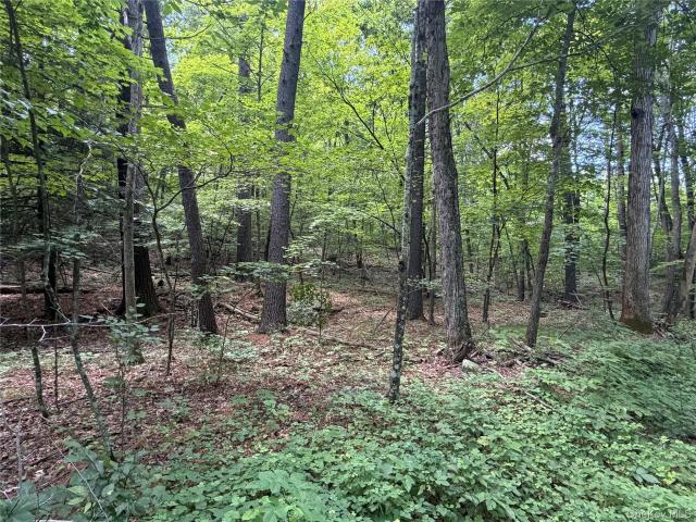 Land for sale in Acra, New York