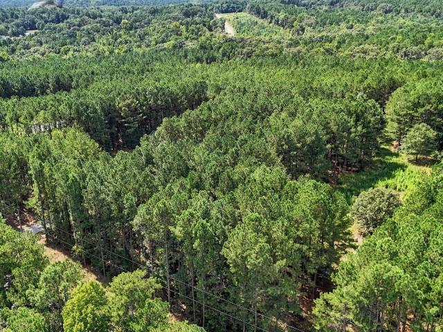 Land for sale in Winnsboro, South Carolina