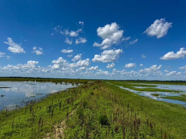 Land for sale in Alicia, Lawrence County