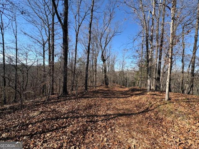 Land for sale in Dawsonville, Georgia