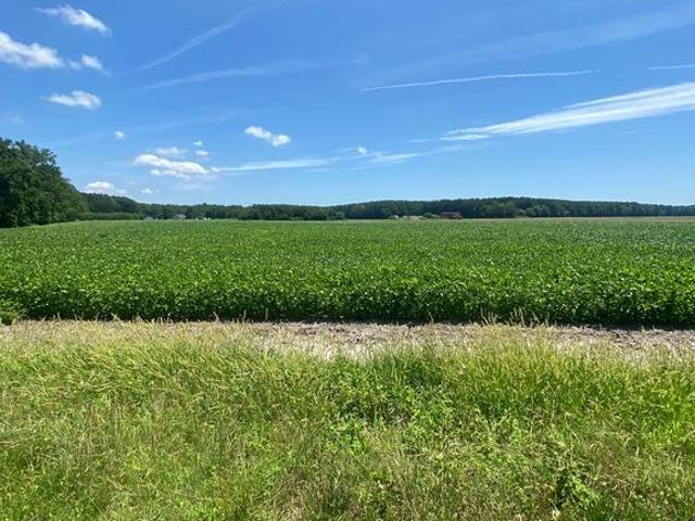 Land for sale in Crisfield, Maryland