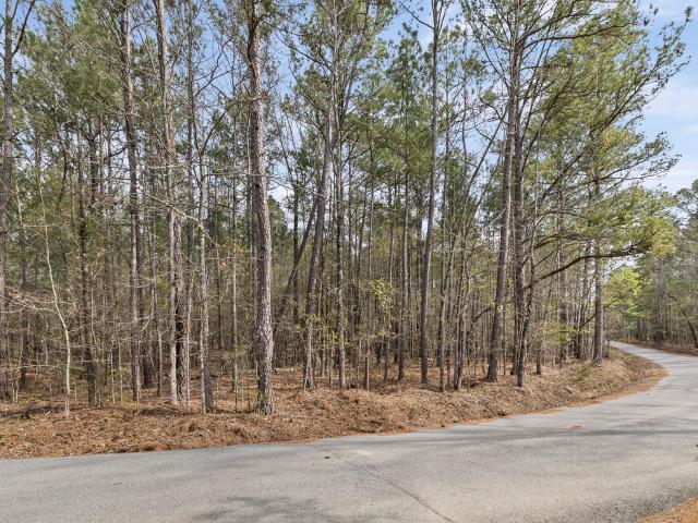 Land for sale in Tignall, Georgia