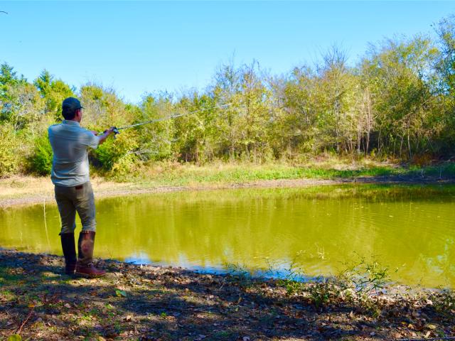 Land for sale in Limestone, Texas