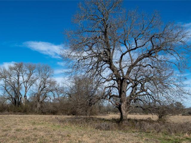 Land for sale in Limestone, Texas
