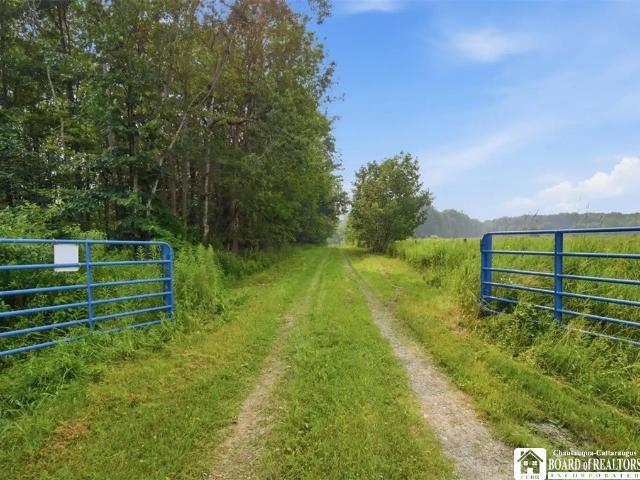 Land for sale in Cherry Creek, New York