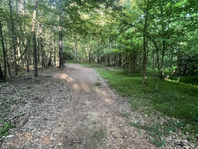 Land for sale in Tennessee