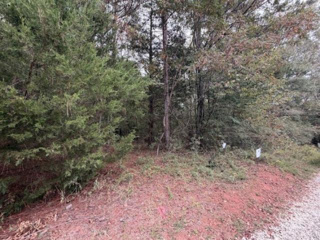 Land for sale in Jefferson, Jackson County