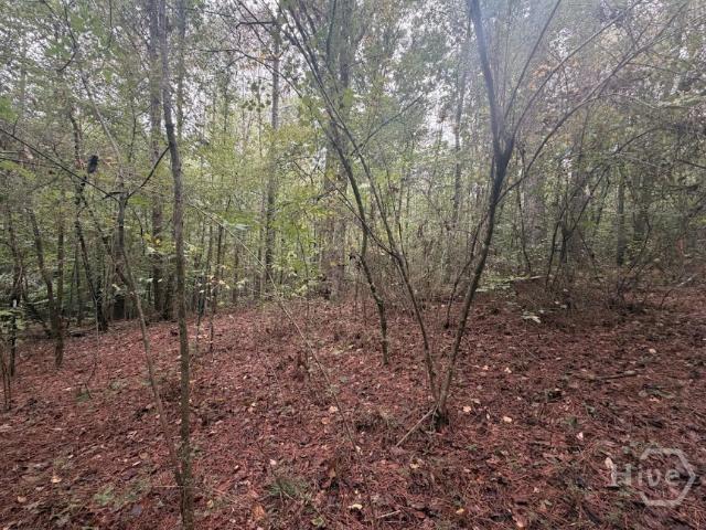 Land for sale in Jefferson, Jackson County