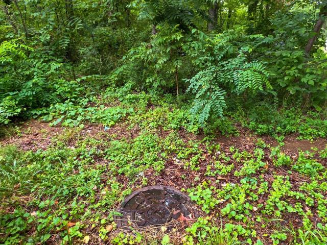 Land for sale in Virginia