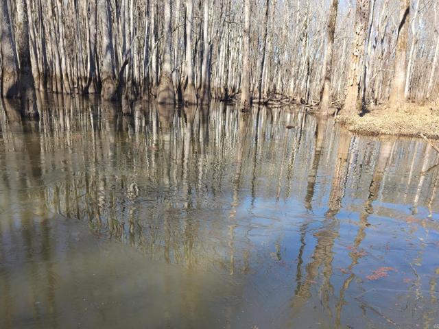 Land for sale in Ark