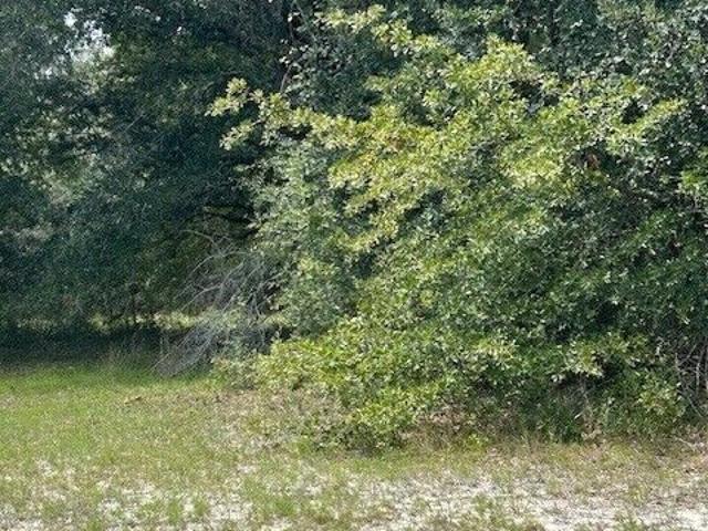 Land for sale in Pembroke, Georgia
